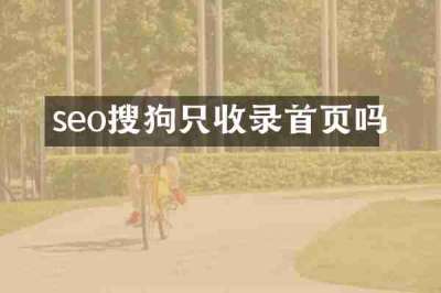 seo搜狗只收录首页吗