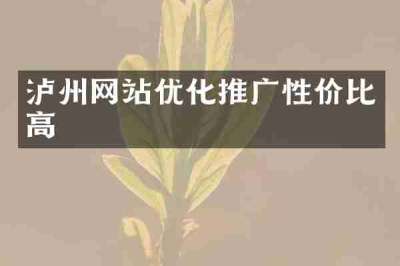 泸州网站优化推广性价比高