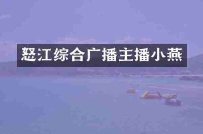 怒江综合广播主播小燕