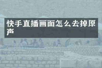快手直播画面怎么去掉原声