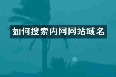 如何搜索内网网站域名