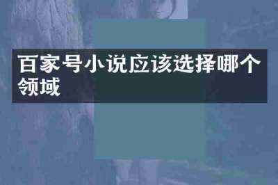 百家号小说应该选择哪个领域