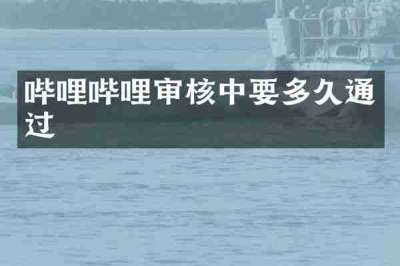 哔哩哔哩审核中要多久通过