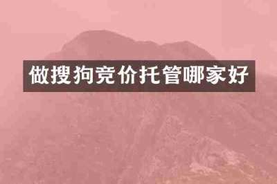 做搜狗竞价托管哪家好