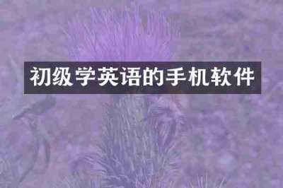 初级学英语的手机软件