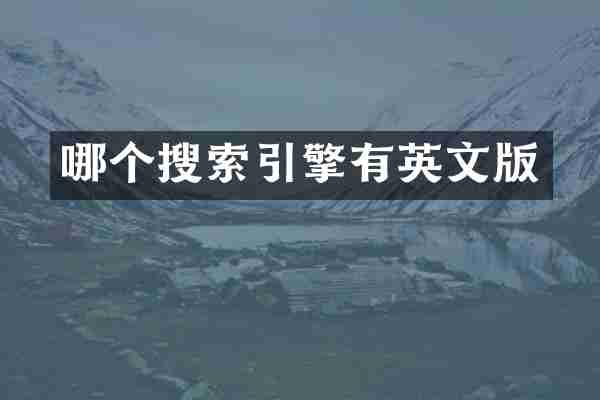 哪个搜索引擎有英文版