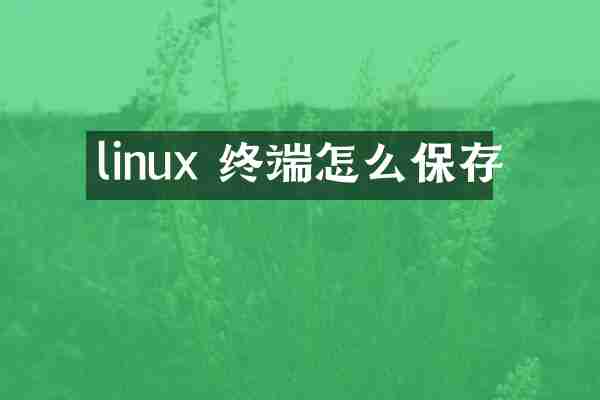 linux 终端怎么保存