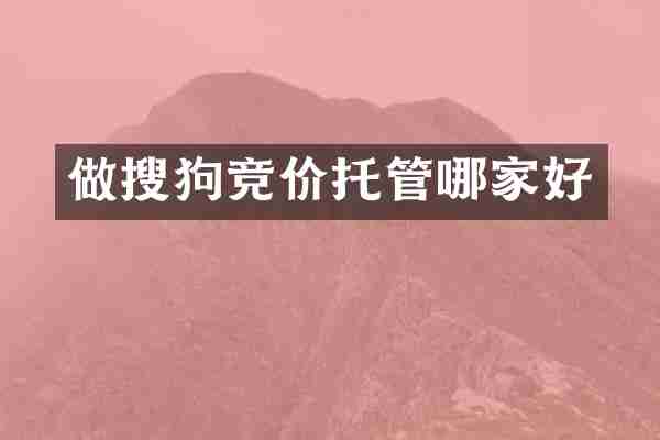 做搜狗竞价托管哪家好