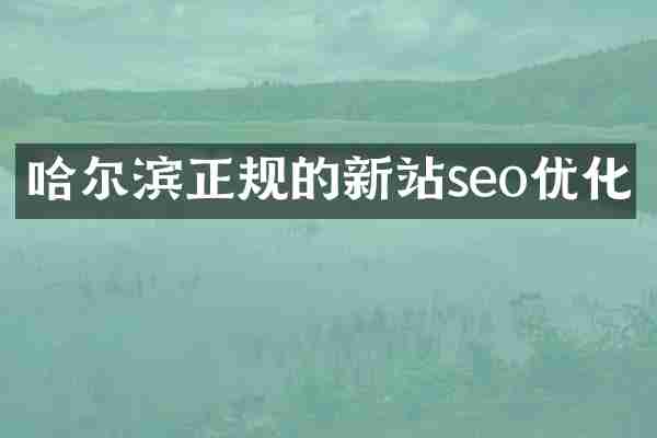 哈尔滨正规的新站seo优化