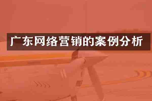 广东网络营销的案例分析