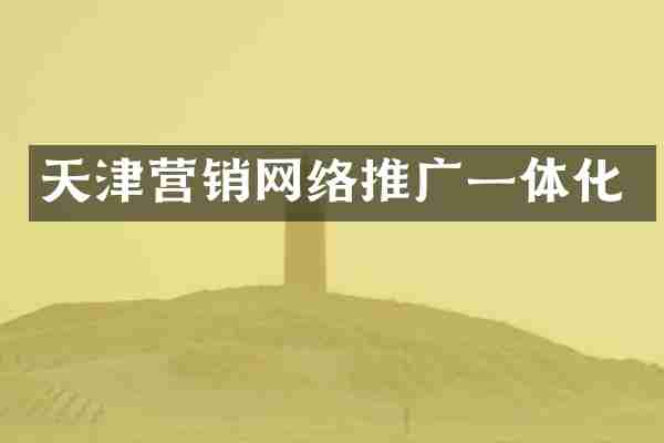 天津营销网络推广一体化