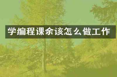 学编程课余该怎么做工作