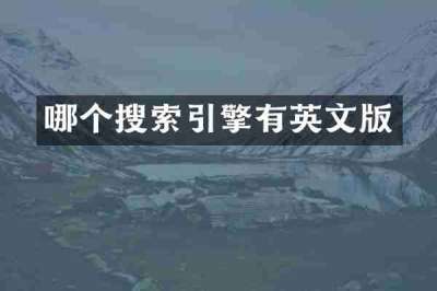哪个搜索引擎有英文版