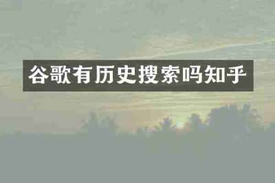 谷歌有历史搜索吗知乎