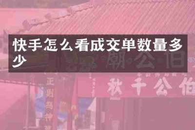 快手怎么看成交单数量多少
