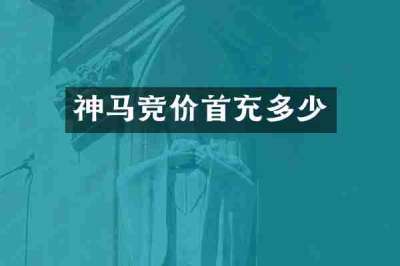 神马竞价首充多少