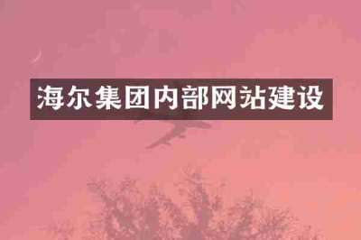 海尔集团内部网站建设