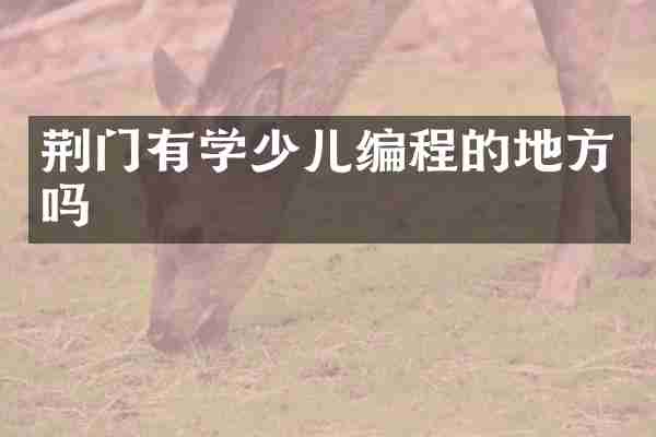 荆门有学少儿编程的地方吗