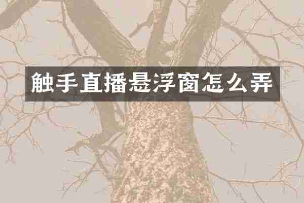 触手直播悬浮窗怎么弄