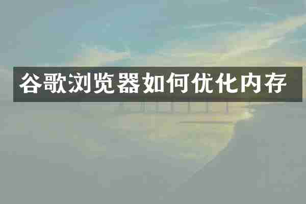 谷歌浏览器如何优化内存