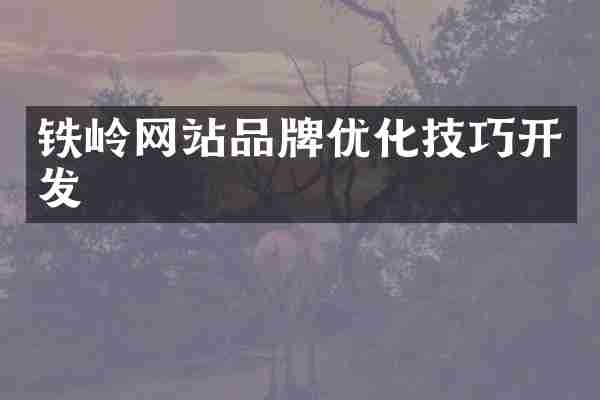 铁岭网站品牌优化技巧开发