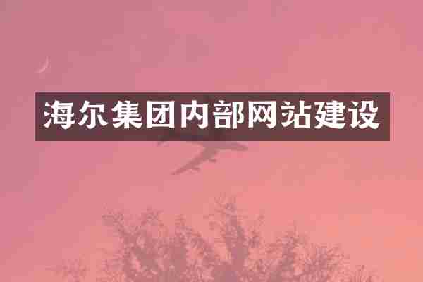 海尔集团内部网站建设