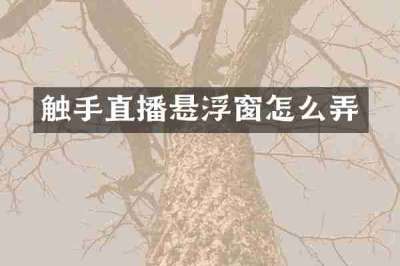 触手直播悬浮窗怎么弄