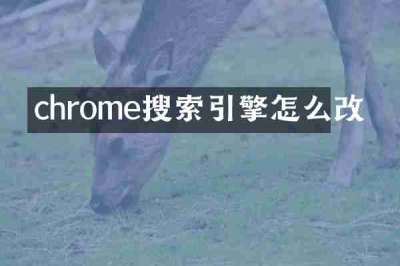 chrome搜索引擎怎么改