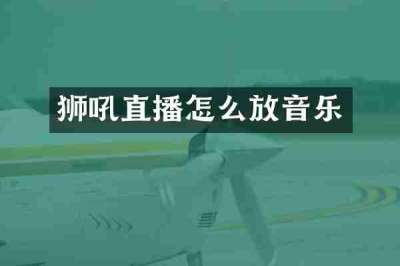 狮吼直播怎么放音乐