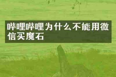 哔哩哔哩为什么不能用微信买魔石