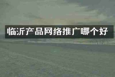 临沂产品网络推广哪个好