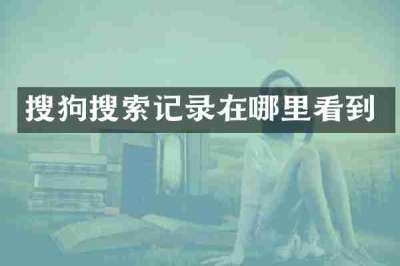 搜狗搜索记录在哪里看到