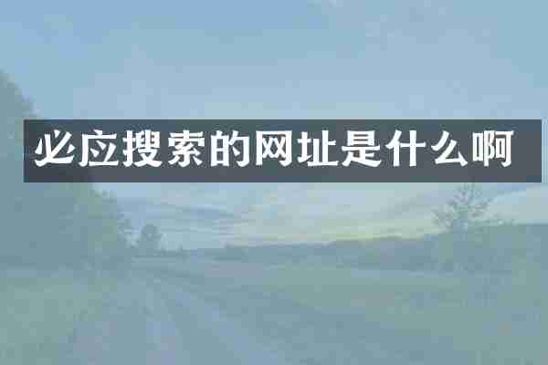 必应搜索的网址是什么啊