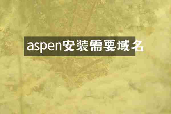 aspen安装需要域名