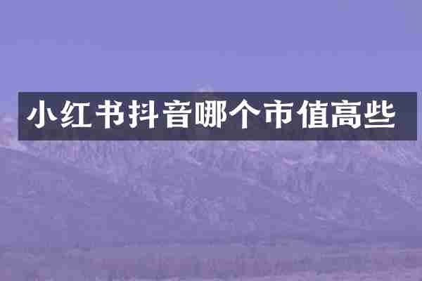 小红书抖音哪个市值高些