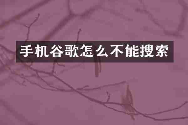 手机谷歌怎么不能搜索