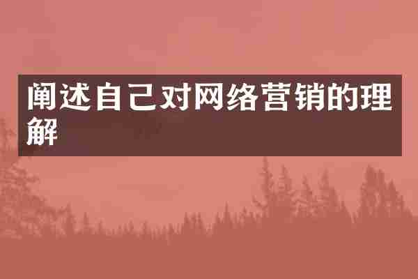 阐述自己对网络营销的理解