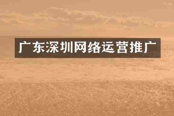 广东深圳网络运营推广