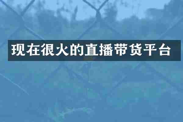 现在很火的直播带货平台