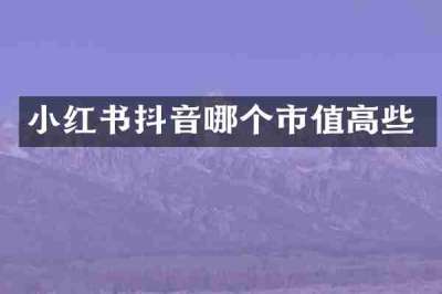 小红书抖音哪个市值高些