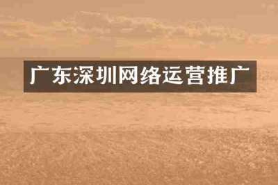 广东深圳网络运营推广