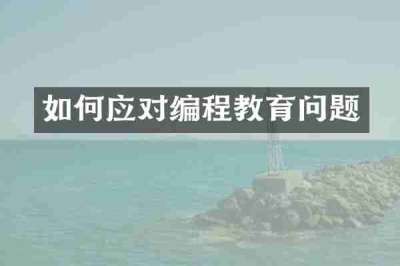 如何应对编程教育问题