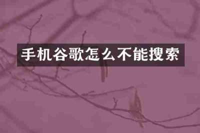 手机谷歌怎么不能搜索