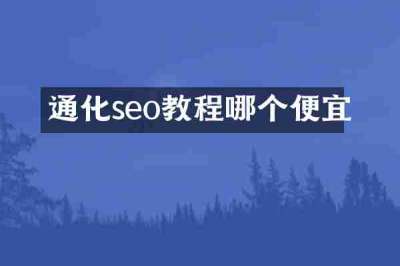 通化seo教程哪个便宜