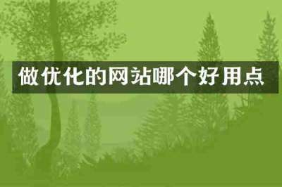 做优化的网站哪个好用点