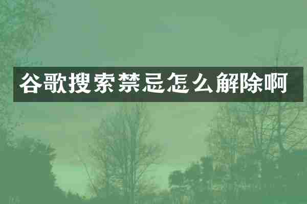 谷歌搜索禁忌怎么解除啊