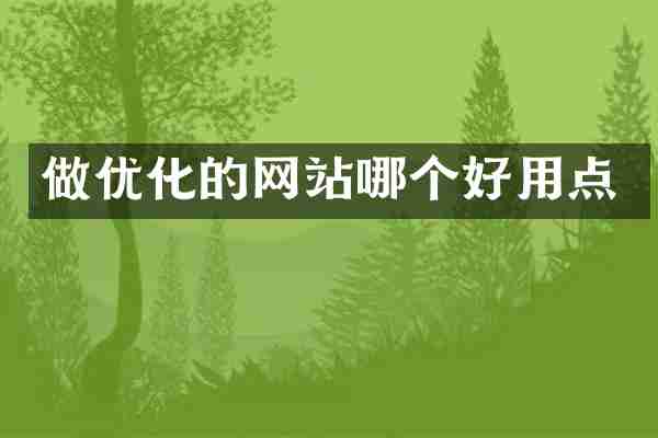 做优化的网站哪个好用点