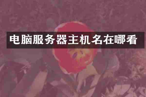 电脑服务器主机名在哪看