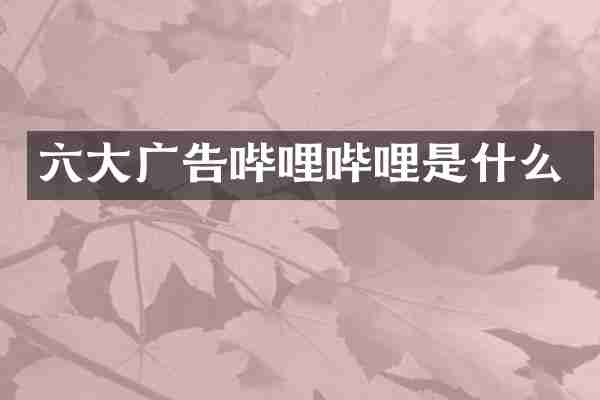 六大广告哔哩哔哩是什么