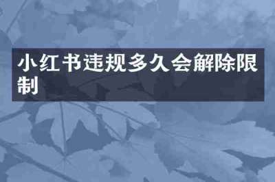 小红书违规多久会解除限制